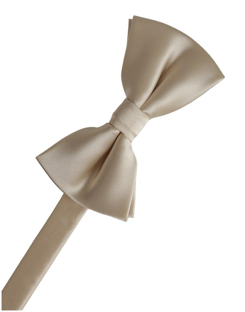 BLACKTIE Champagne Eternity Bow Tie