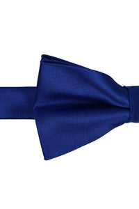 BLACKTIE Horizon Eternity Bow Tie