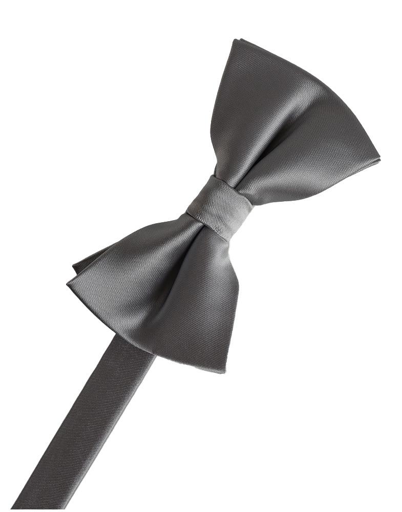 BLACKTIE Silver Eternity Bow Tie