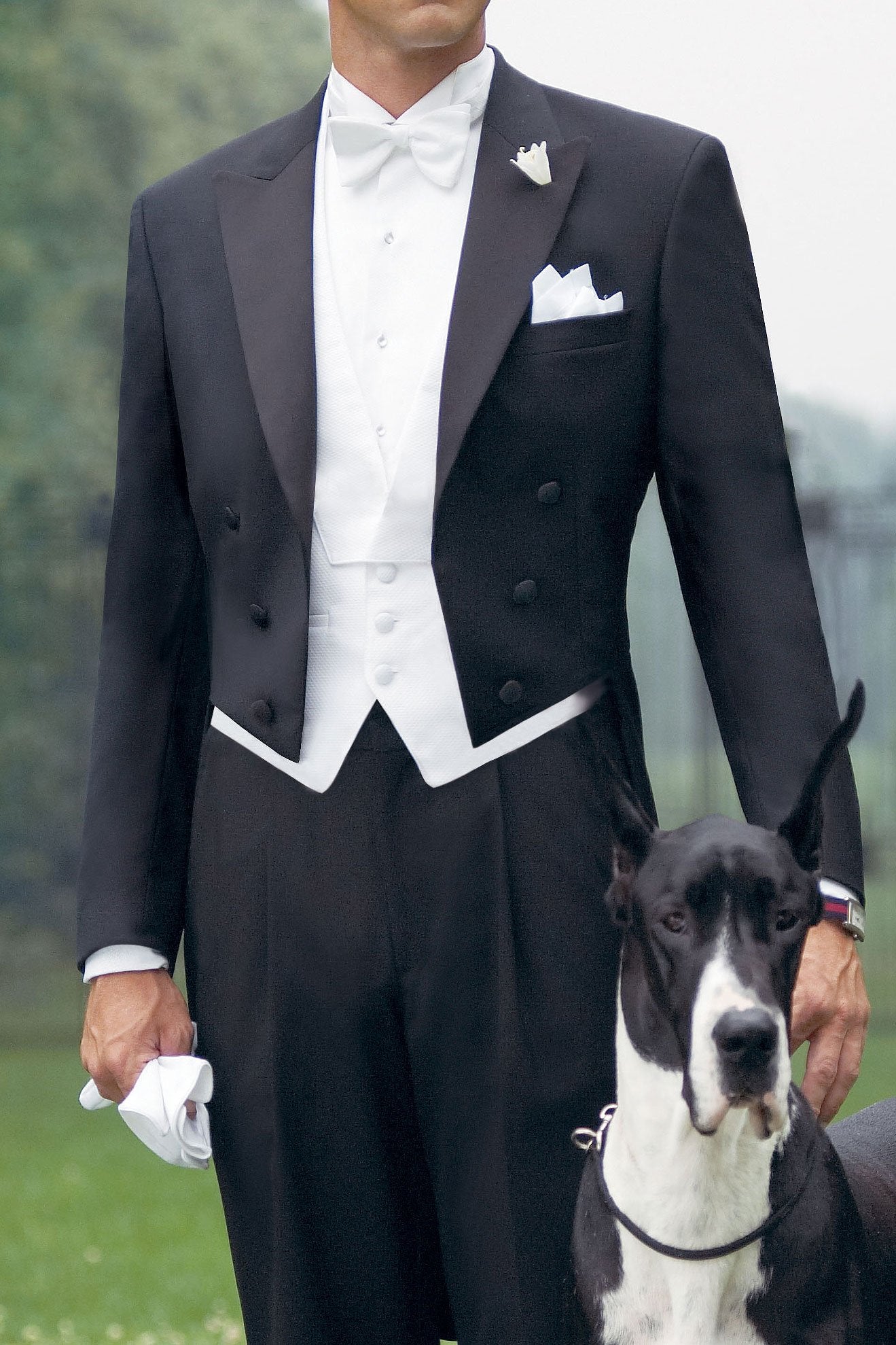 tuxedo with tails